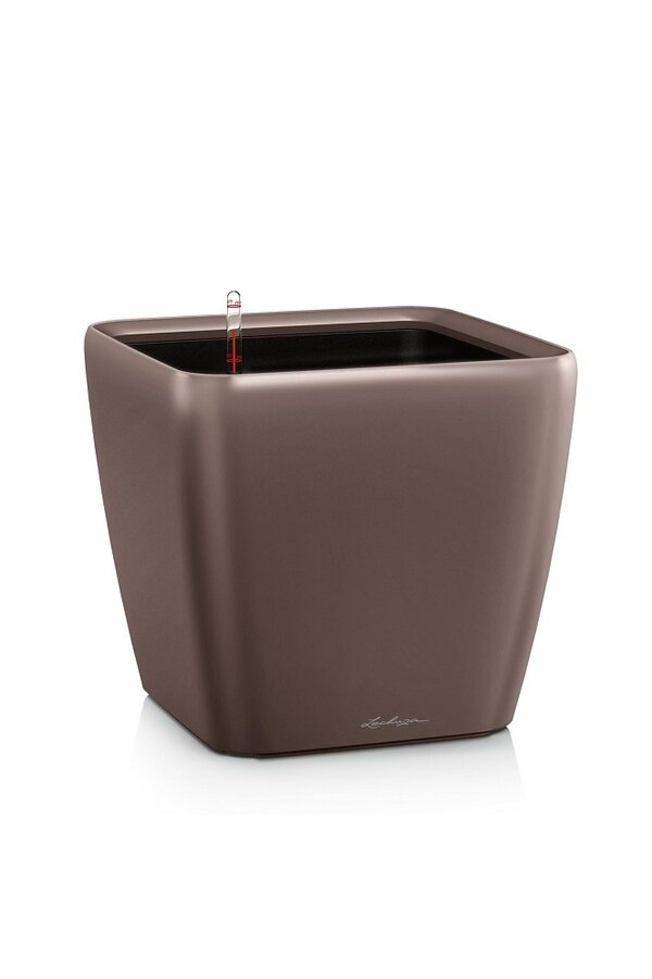 Quadro Tout Inclus XL