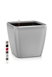 Quadro Tout Inclus L