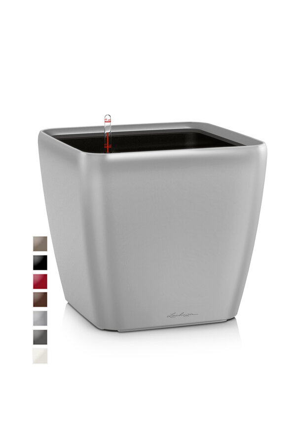 Quadro Tout Inclus L