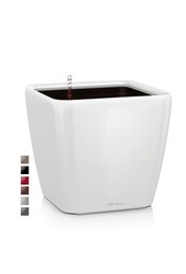 Quadro All Inclusive M