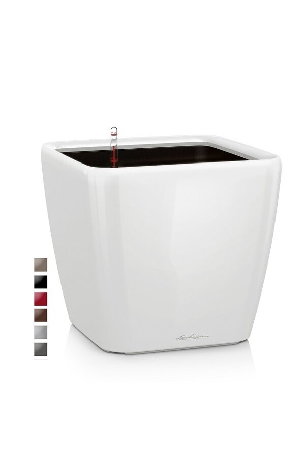 Quadro All Inclusive M