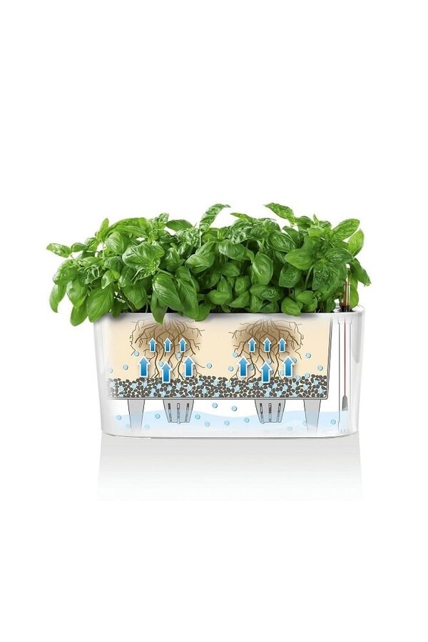 Delta Oval Tout Inclus S