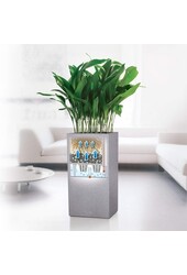 Canto Tower Tout Inclus