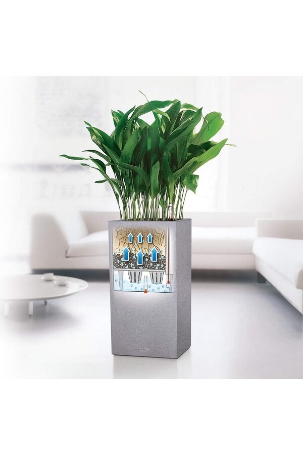 Canto Tower Tout Inclus