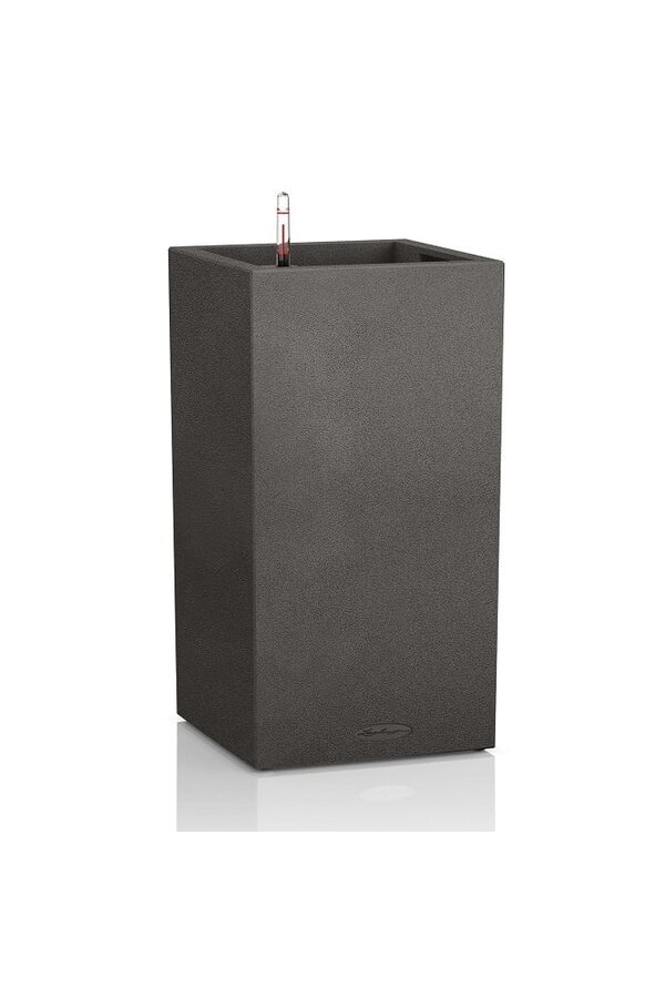 Canto Tower Tout Inclus