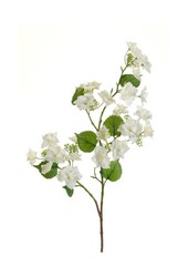 Hortensia tak creme kunstplant