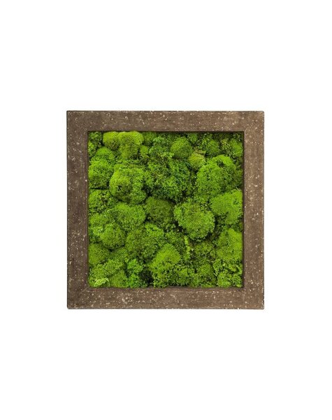 Mosschilderij