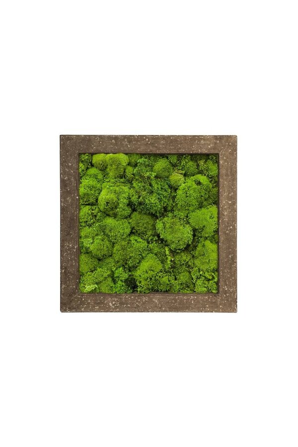 Levend Schilderij Rock L