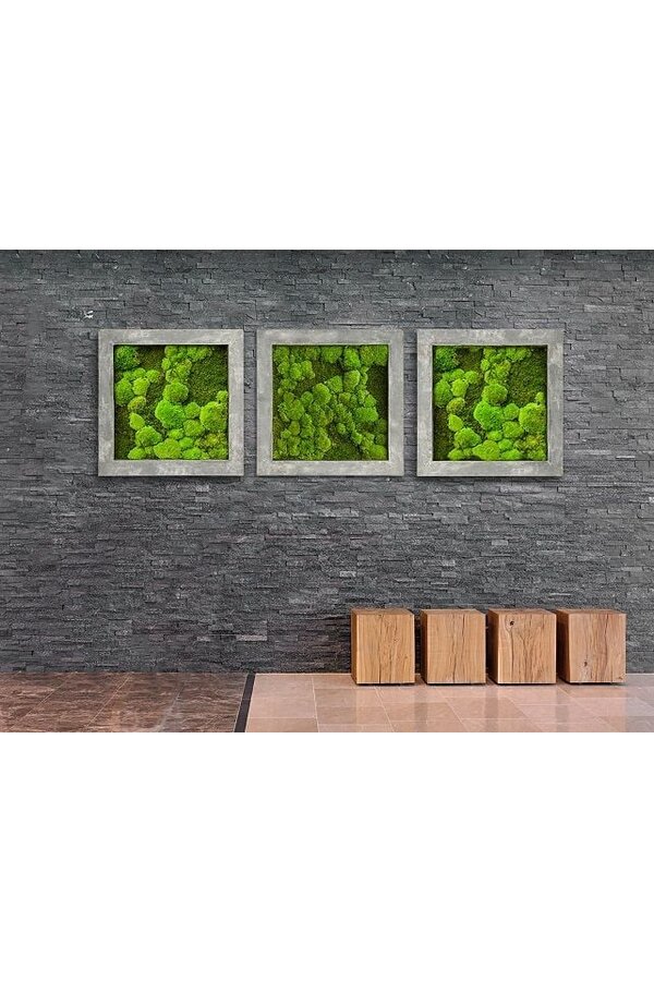 Tableau Vivant Rock L