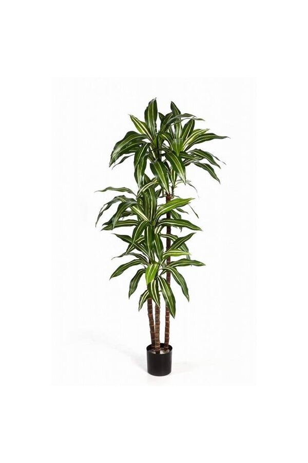 Dracaena kunstplant