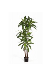 Plante artificielle Dracaena