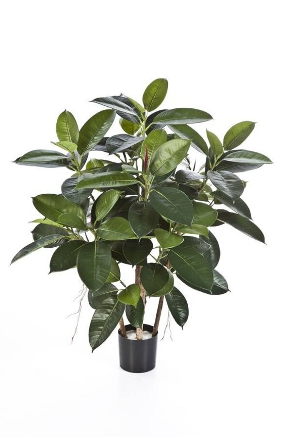 Plante artificielle Ficus elastica