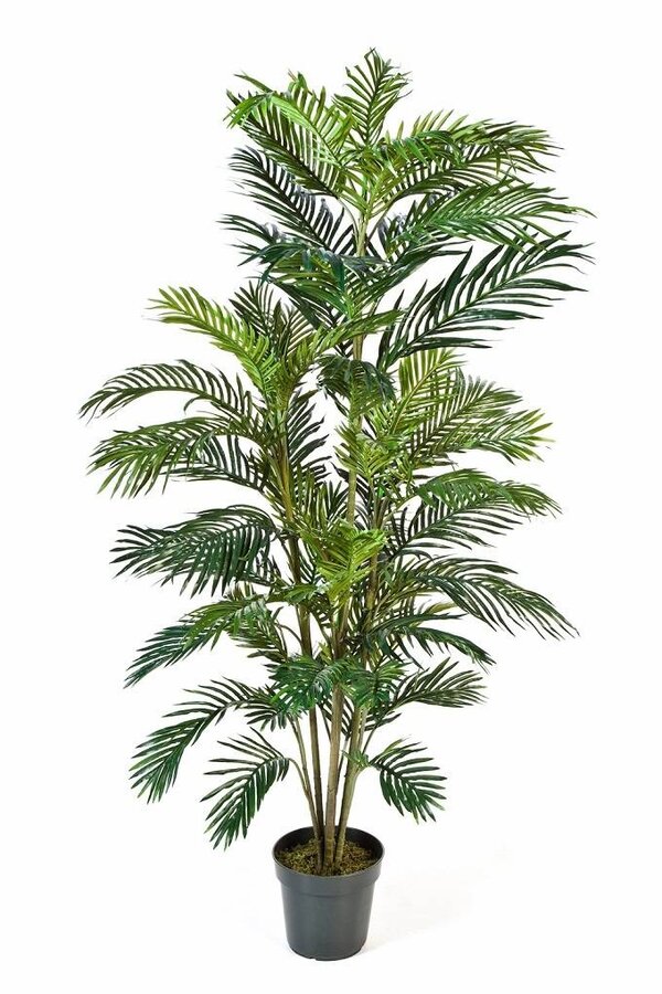 Goudpalm kunstplant