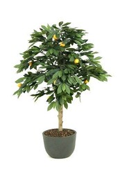 Plante artificielle de mandarinier