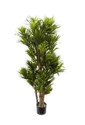 Pleomele song of jamaica plante artificielle