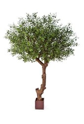 Natural olive tree poly kunstplant