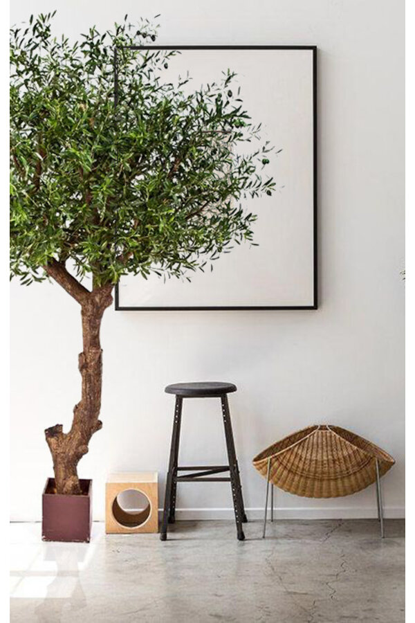 Plante artificielle Natural olive tree poly