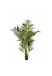 Plante artificielle Kentia de luxe