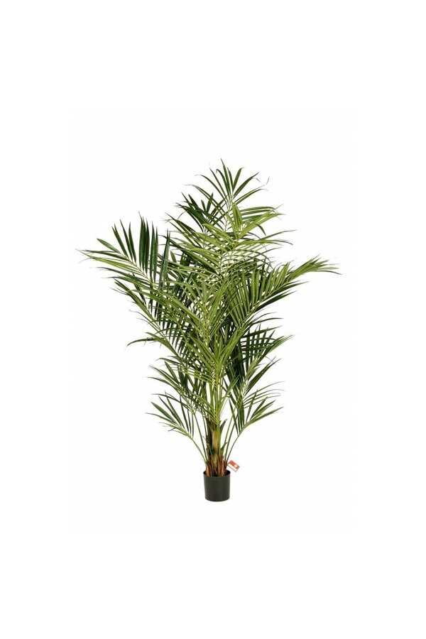 Plante artificielle Kentia de luxe