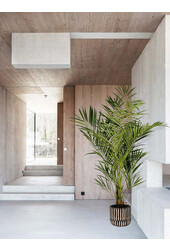 Plante artificielle Kentia de luxe