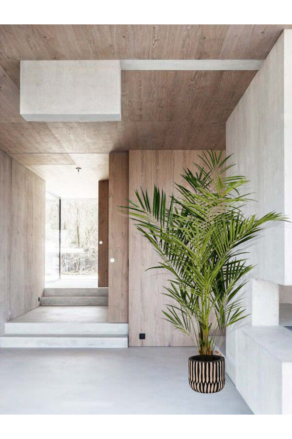 Plante artificielle Kentia de luxe