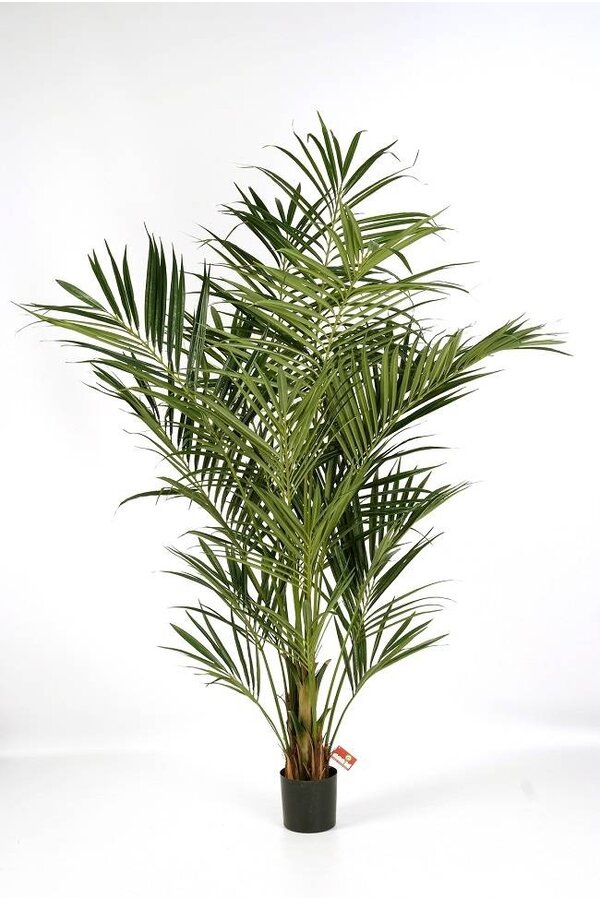 Plante artificielle Kentia de luxe