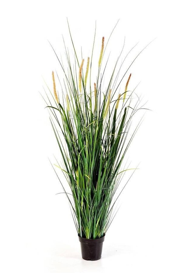 Plante artificielle Foxtail wild grass