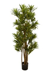 Plante artificielle Dracaena reflexa