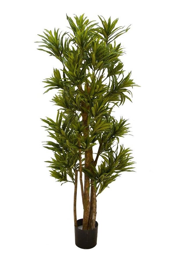 Plante artificielle Dracaena reflexa