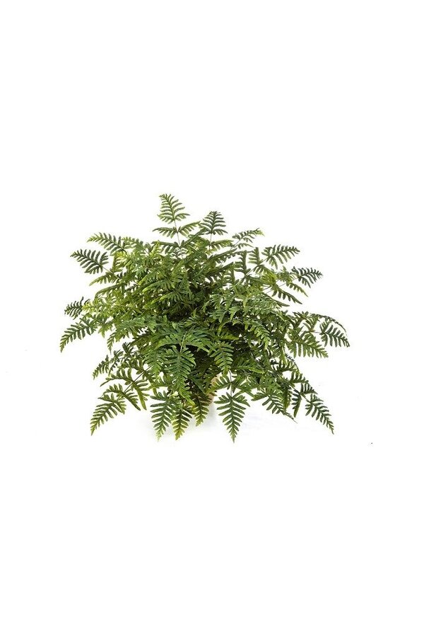 Plante artificielle Athyrium fern