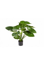 Plante artificielle Alocasia calidora