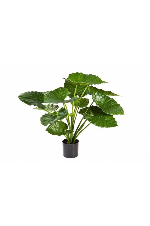 Plante artificielle Alocasia calidora