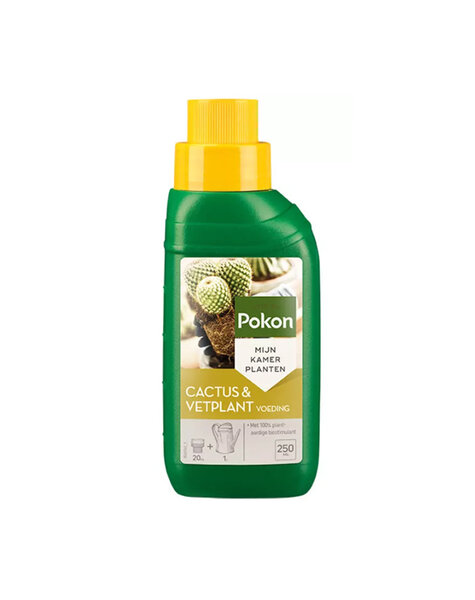 Pokon Cactus et engrais pour plantes grasses