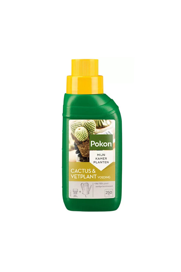 Cactus en vetplantvoeding