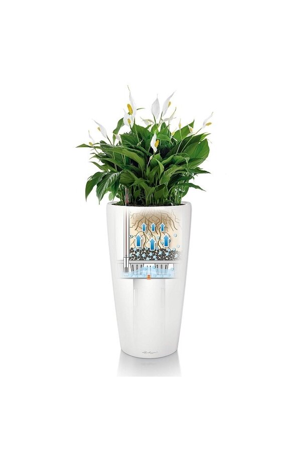 Set Rond Tout Inclus L