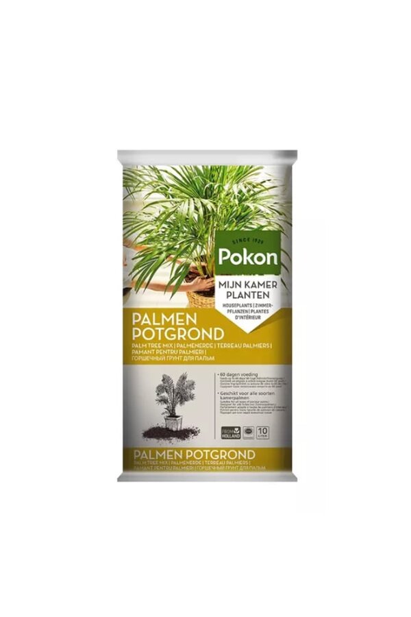 Palmpotgrond