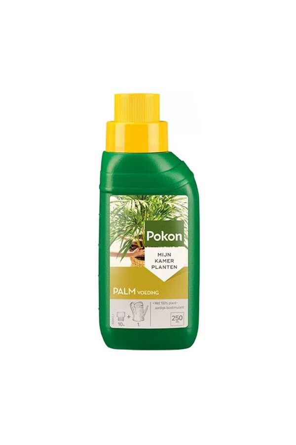 Palmvoeding