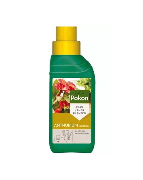 Pokon Alimentation pour Anthurium