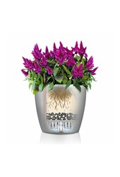 Set Classique Tout Inclus S