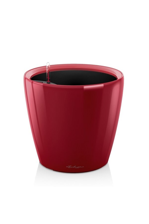 Classique Tout Inclus M