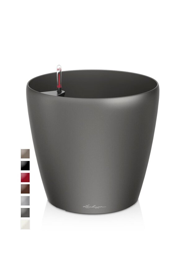 Classique Tout Inclus L