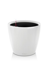 Klassiek All Inclusive L