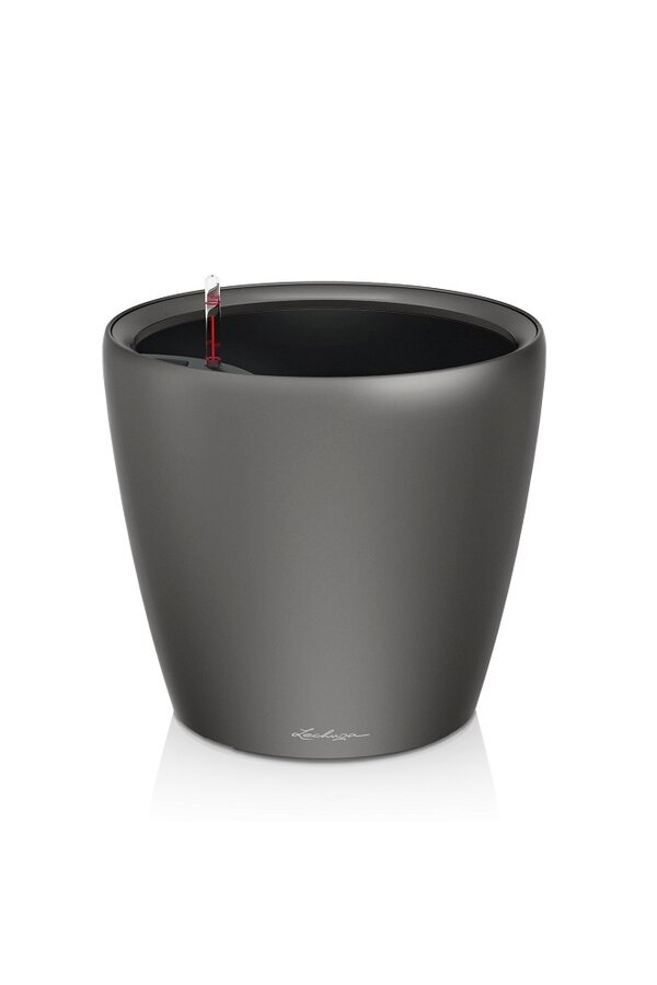 Classique Tout Inclus L