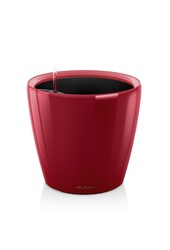 Klassiek All Inclusive L