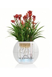 Vetplant in Zelfwatergevende Trend