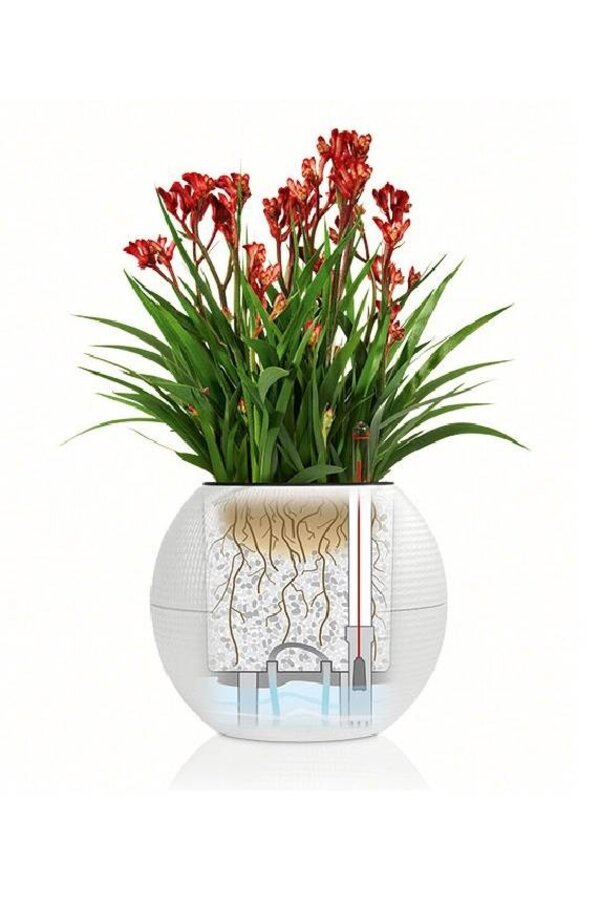 Vetplant in Zelfwatergevende Trend