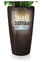 Calathea Rufibarba dans un Rondo à réserve d'eau