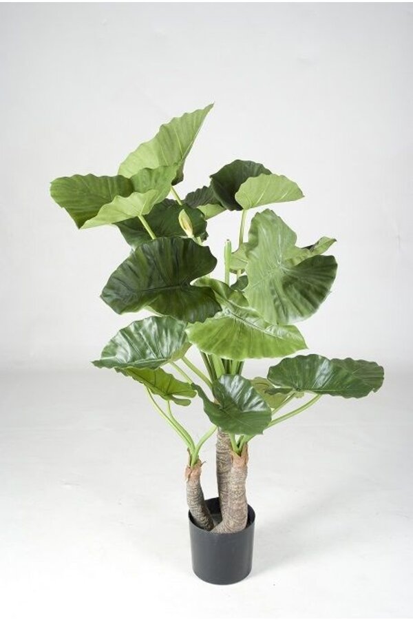 Plante artificielle Alocasia calidora