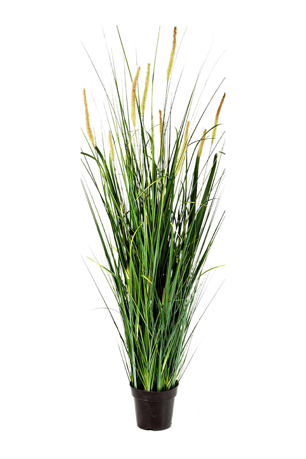 Plante artificielle herbe sauvage foxtail