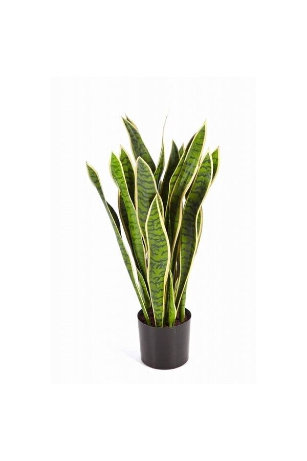 Sansevieria var. kunstplant